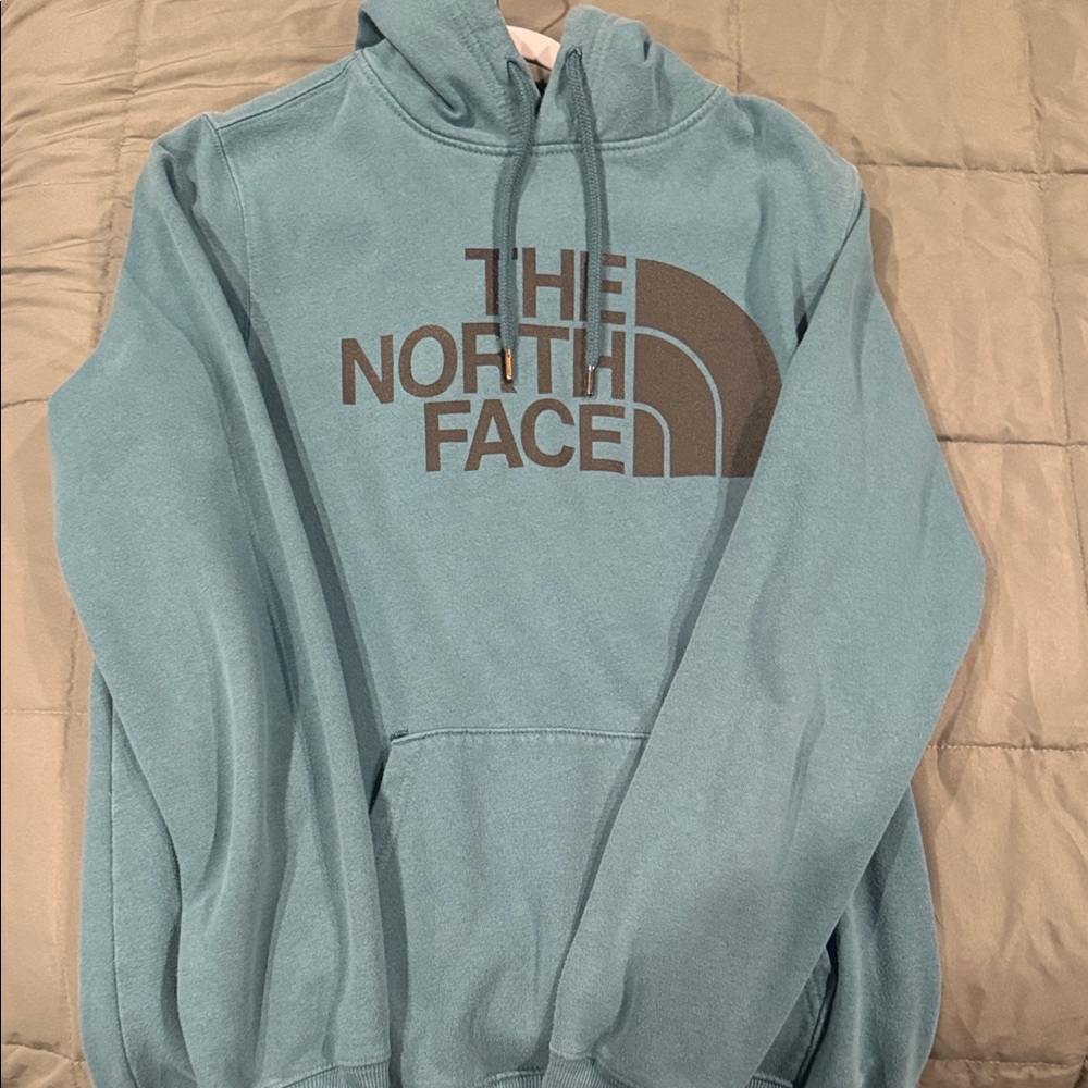 The North Face Men's Teal Hoodie Sweater